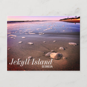 Jekyll Island Georgia Sand Dollar Beach Postkarte