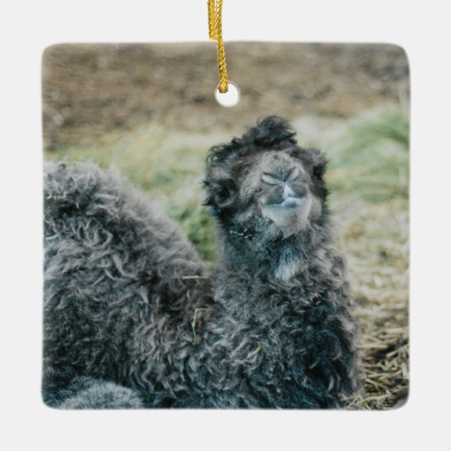 Jelly Baba Keramikornament (Vorderseite)