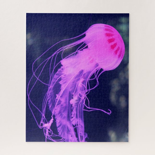 Jelly Fish (Vertikal)