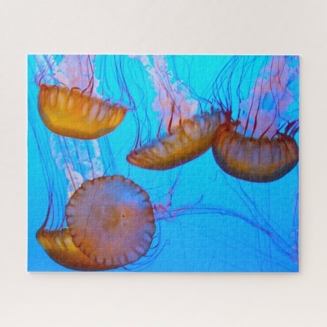 Jelly Fish (Horizontal)