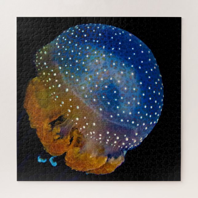 Jelly Fish (Horizontal)