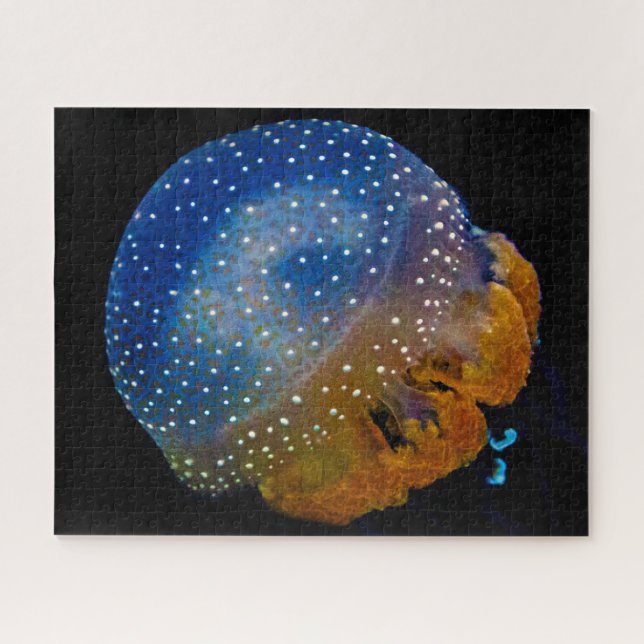 Jelly Fish (Horizontal)