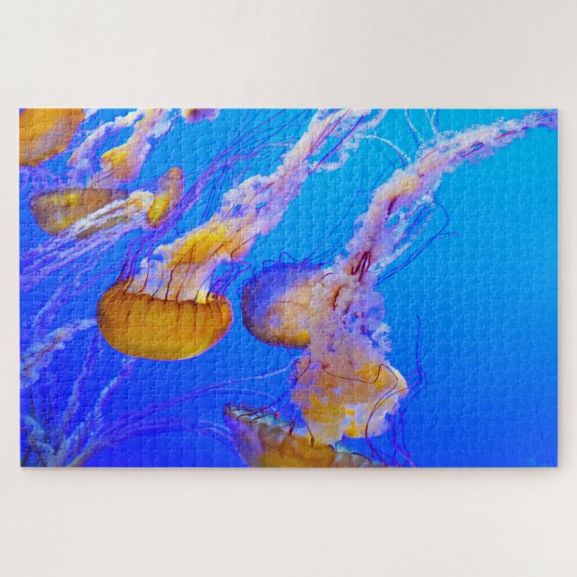 Jelly Fish (Horizontal)