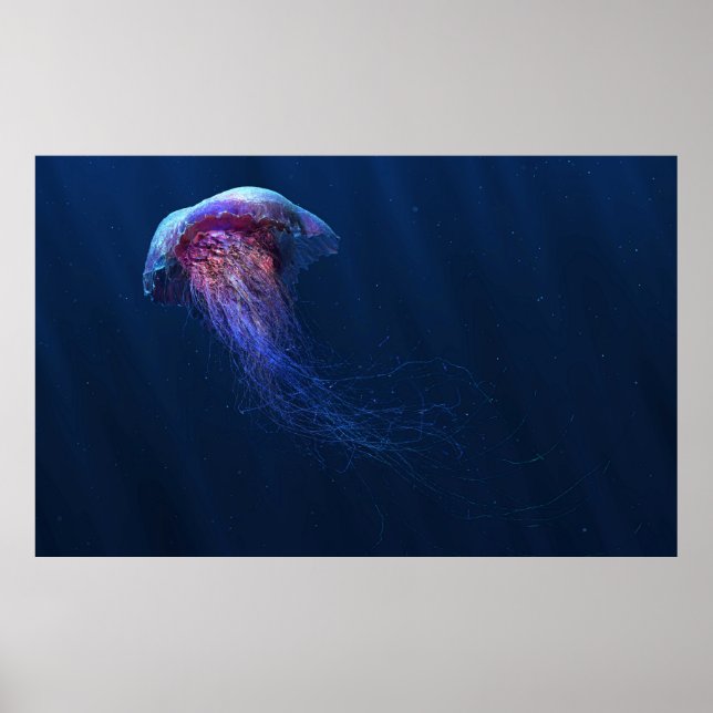 Jelly Poster (Vorne)