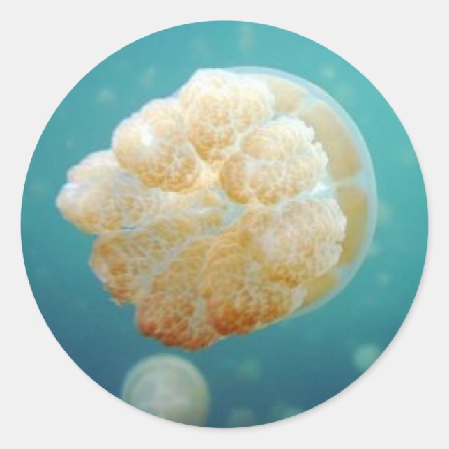 Jelly Runder Aufkleber (Vorderseite)