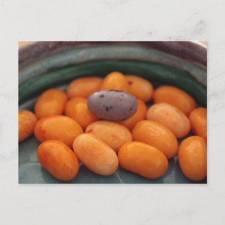 Jellybean John 6:27 Carte postale