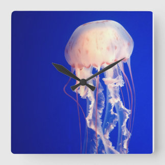 Jellyfish Clock Quadratische Wanduhr