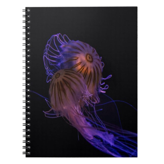 Jellyfish Dance Partners Notizblock (Vorderseite)