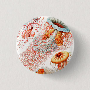 Jellyfish, Discomedusae by Ernst Haeckel Button