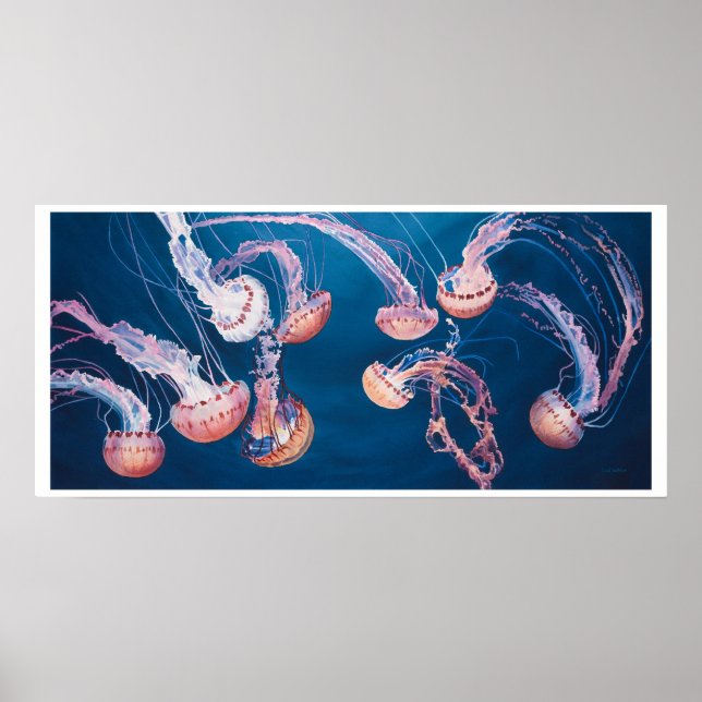Jellyfish Jam by Paul Jackson, aws, nws Poster (Vorne)