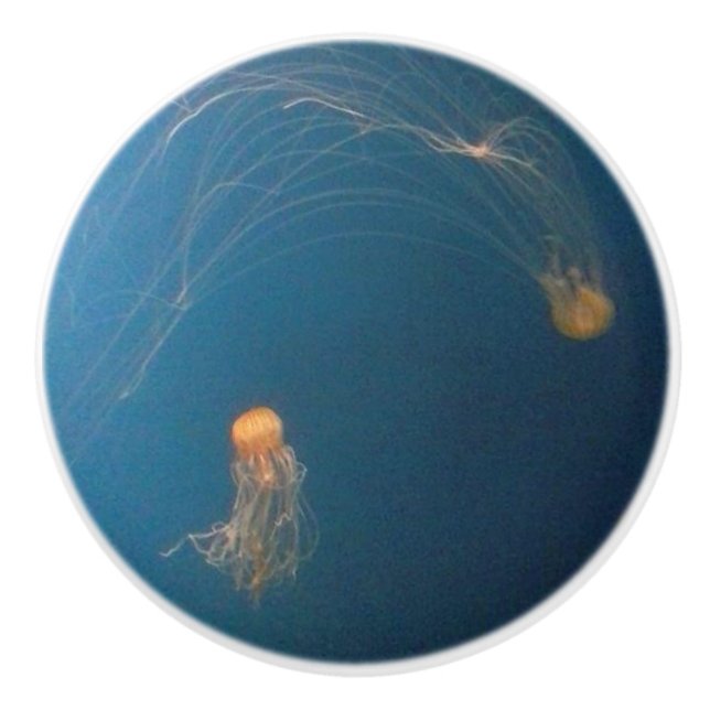 JellyFish Keramik Möbelknöpfe Keramikknauf (Vorderseite)
