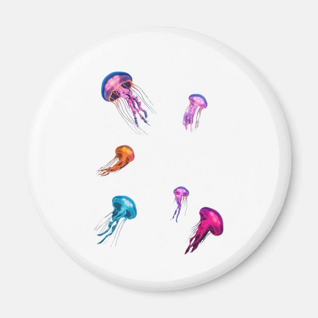 jellyfish magnet (Devant)