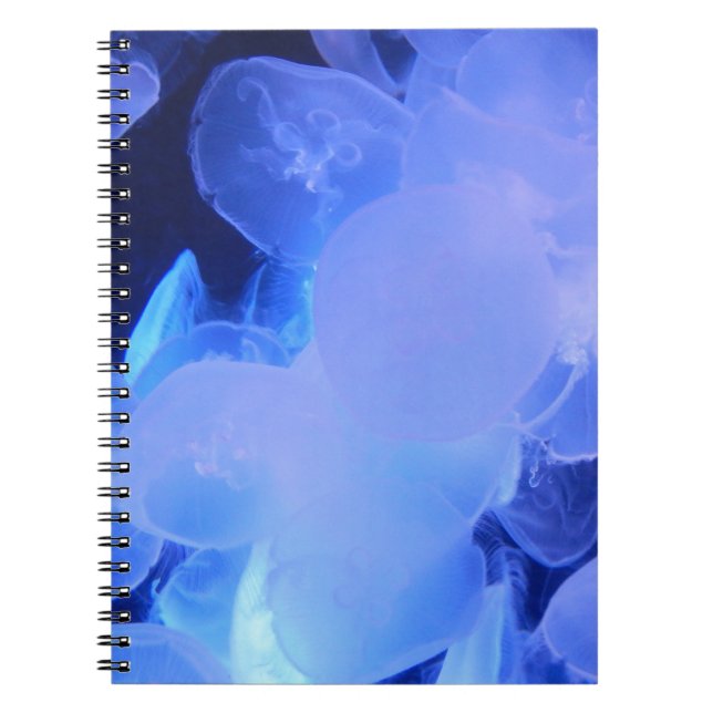 JELLYFISH NOTIZBLOCK (Vorderseite)