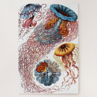 Jellyfish (Scheibenquallen) von Ernst Haeckel