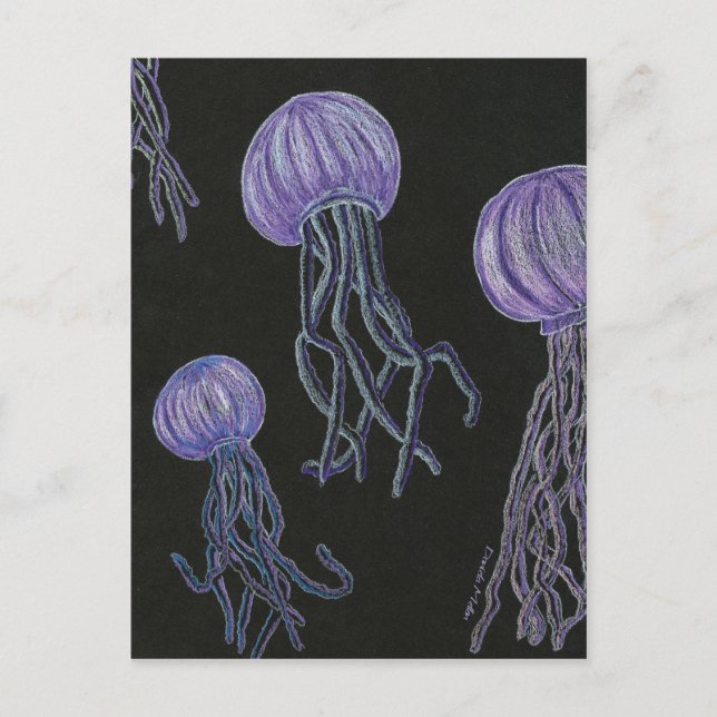 Jellyfish Stream Postcard Postkarte (Vorderseite)
