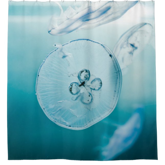 JELLYFISHES UNTERWASSER DUSCHVORHANG (Vorderseite)