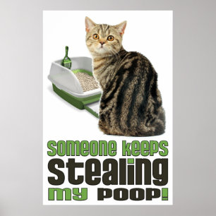 Jemand Behalte meiner Kackend Katze das Poster zu