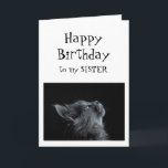 Jemand, den ich zu Sister Birthday Animal Spaß seh Karte<br><div class="desc">Jemand,  den ich nach Sister Birthday Animal Spaß schaue Es gibt reichlich Platz,  um Ihre eigene Nachricht hinzuzufügen</div>
