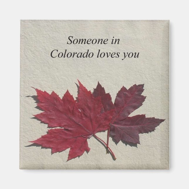 Jemand in Colorado Lieben You Magnet (Vorne)
