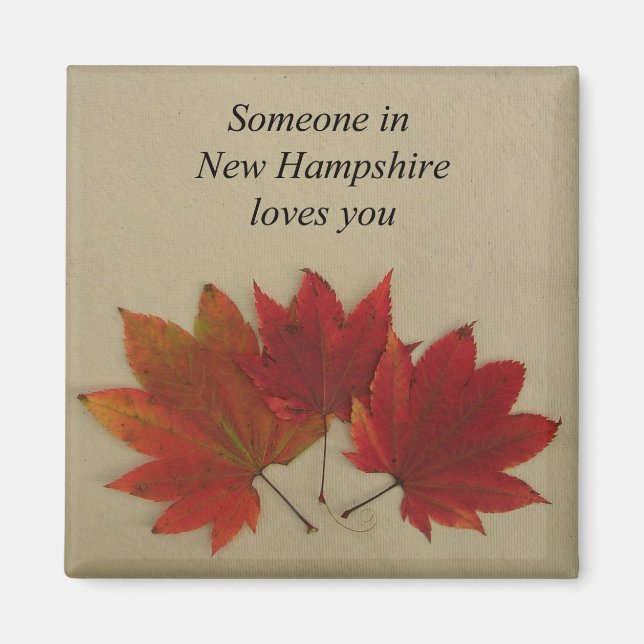 Jemand in New Hampshire Lieben You-Magnet Magnet (Vorne)