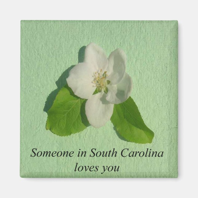 Jemand in South Carolina Lieben You- Apple Blossom Magnet (Vorne)
