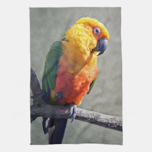 Jenday Conure Geschirrtuch