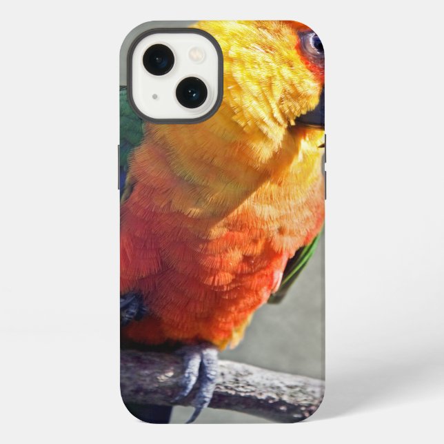 Jenday Conure iPad Hülle iPhone Hülle (Rückseite)