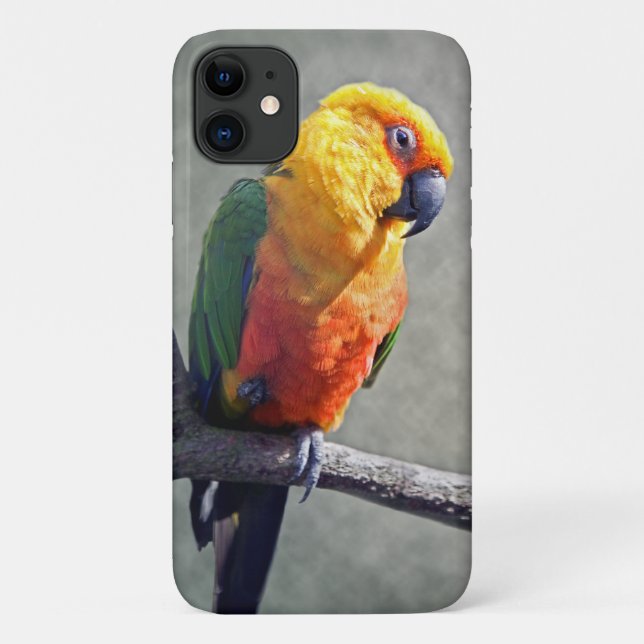 Jenday Conure iPhone 11 Fall Case-Mate iPhone Hülle (Rückseite)