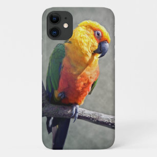 Jenday Conure iPhone 11 Hülle