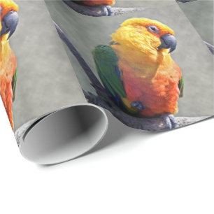 Jenday Conure Wrapping Paper Geschenkpapier