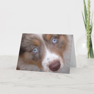 Jene Augen Karte
