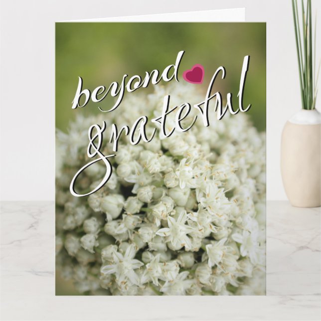 Jenseits der Dankbarkeit Karten (Vorderseite)