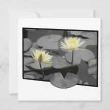 Jenseits der Rahmenflachkarte blühen