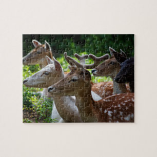 J'entends Puzzle