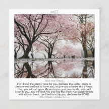 Jeremiah 29:11-14 GOD'S PROMISE SCRIPIX