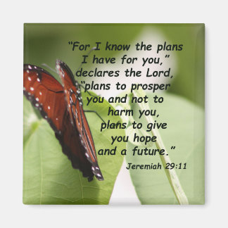 Jeremiah 29:11 (2) magnet