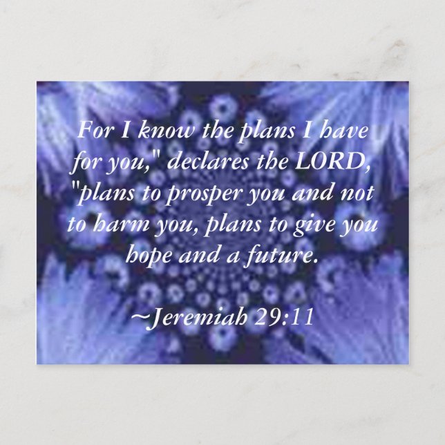 Jeremiah 29:11 Blue Daisy Post Card Postkarte (Vorderseite)