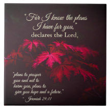 Jeremiah 29:11 Denn ich kenne die Pläne, die ich f