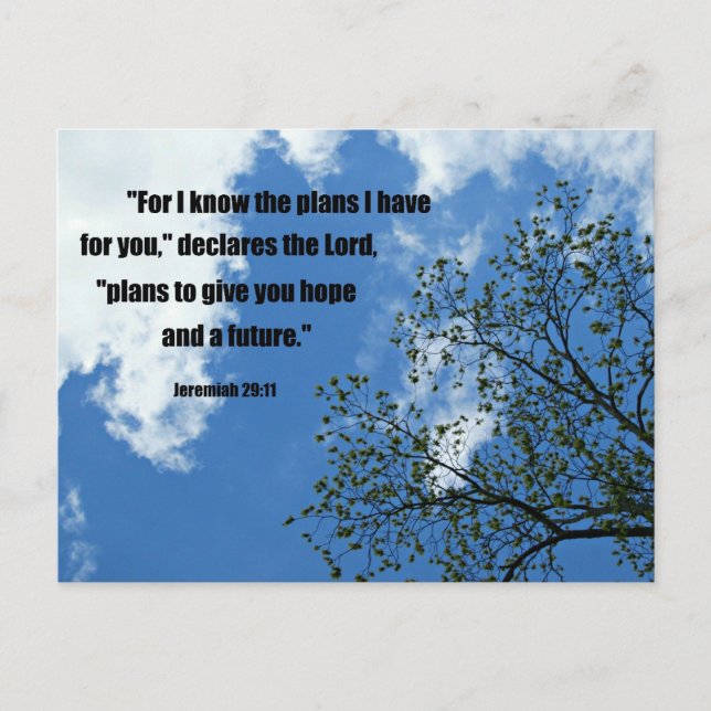 Jeremiah 29:11 Denn ich kenne die Pläne, die ich f Postkarte (Vorderseite)