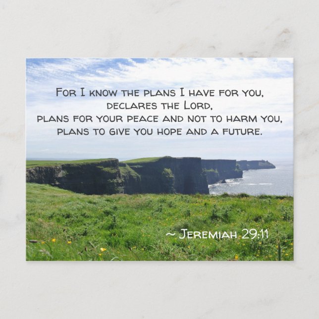 Jeremiah 29:11 Denn ich kenne die Pläne, die ich f Postkarte (Vorderseite)