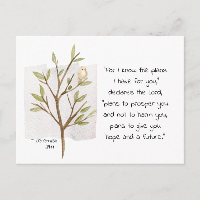 Jeremiah 29:11 Denn ich kenne die Pläne, die ich f Postkarte (Vorderseite)