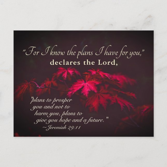 Jeremiah 29:11 Denn ich kenne die Pläne, die ich f Postkarte (Vorderseite)