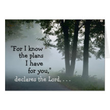 Jeremiah 29:11 Denn ich kenne die Pläne, die ich h