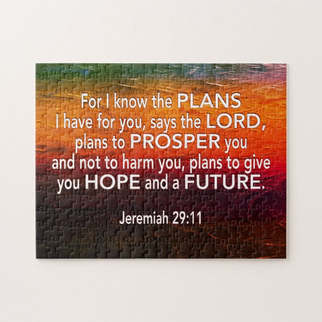 Jeremiah 29:11 FOR I KNOW THE PLANS Red Christian (Horizontal)