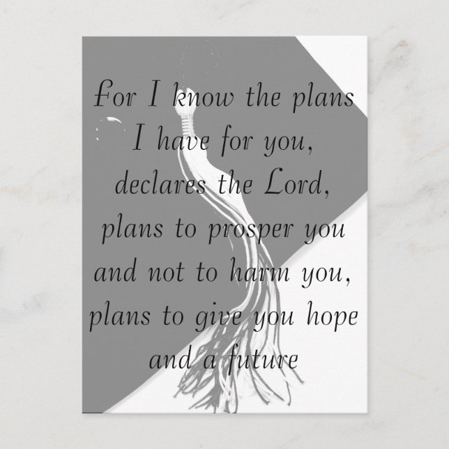 Jeremiah 29:11 Graduation Carte postale (Devant)