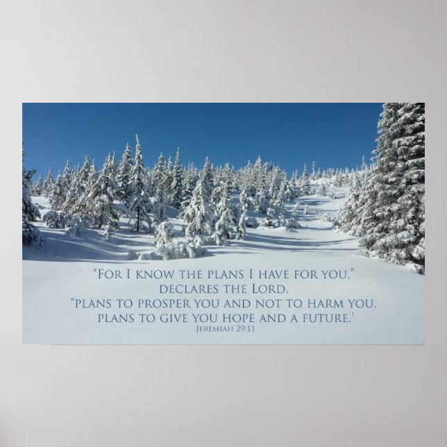 Jeremiah 29:11 Ich kenne meine Pläne für Sie Poster (Vorne)