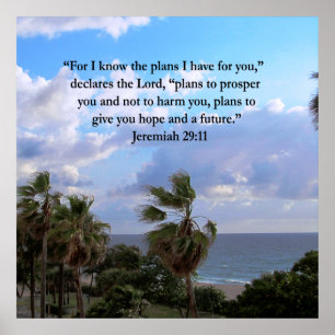 JEREMIAH 29:11 INSPIRATIONALE VERSE POSTER