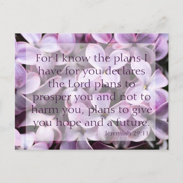 Jeremiah 29:11 Lilacs Postkarte (Vorderseite)