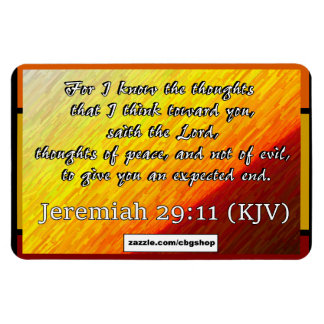 Jeremiah 29:11 magnet