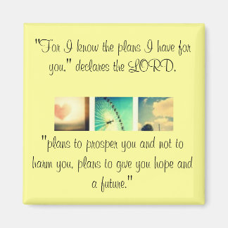 Jeremiah 29:11 magnet